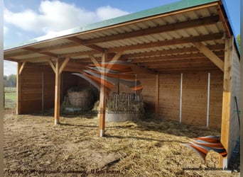 Aussenbox, Pferdestall, Pferdebox, Weidehütte, Offenstall, Stall bauen, Stallungen, Paddockbox,