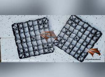 Paddockplatten kaufen, Paddockgitter, Rasengitter, Rasenwaben, Kiesgitter, Rasenwaben 9,45 EUR!!!