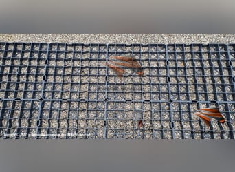 Paddockplatten kaufen, Paddockgitter, Rasengitter, Rasenwaben, Kiesgitter, Rasenwaben, Gitterplatten