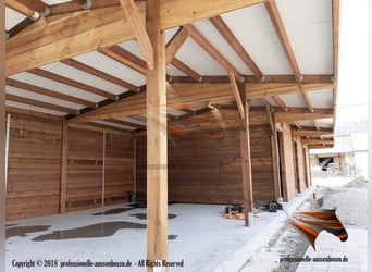 Stall bauen - Stallungen, Pferdestall, Aussenbox, Pferdebox und Offenstall kaufen, Pferdeunterstand,