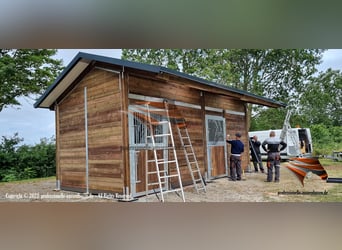 Stall bauen - Stallungen, Pferdestall, Aussenbox, Pferdebox und Offenstall kaufen, Pferdeunterstand,