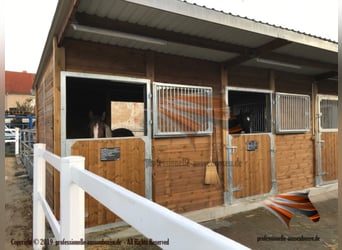 Stall bauen - Stallungen, Pferdestall, Aussenbox, Pferdebox und Offenstall kaufen, Pferdeunterstand,