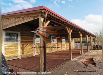 Stall bauen - Stallungen, Pferdestall, Aussenbox, Pferdebox und Offenstall kaufen, Pferdeunterstand,