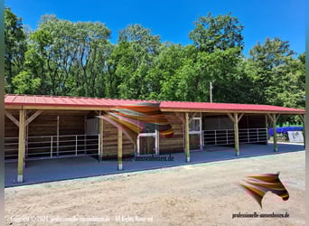 Außenbox pferd - Pferdestall bauen, Pferdebox und Paddockbox, Offenstall kaufen, Weidehütte pferd,