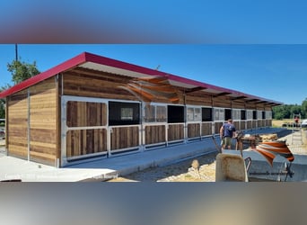 Außenbox pferd - Pferdestall bauen, Pferdebox und Paddockbox, Offenstall kaufen, Weidehütte pferd,