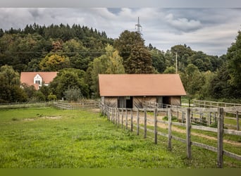 Exklusives Gestüt und Landsitz in Alleinlage mit Wassermühle und 12,4 ha Koppeln und Wald