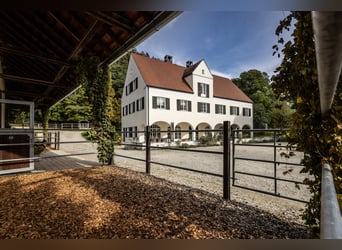 Exklusives Gestüt und Landsitz in Alleinlage mit Wassermühle und 12,4 ha Koppeln und Wald