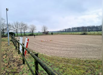 Leben mit Pferde: Exklusiver Gutshof am Niederrhein