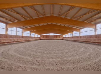 Pferdeimmobilie im Schwarzwald mit neuer Reithalle & Privatstallungen