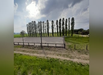 Reiterhof im Naturschutzgebiet bei Bologna mit Potenzial