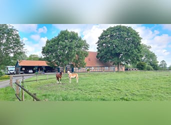 Saniertes Fachwerk-Anwesen mit Weidefläche, Pferdeboxen und Reitplatz nahe Bremen