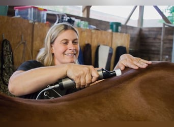 Praktikum Trainings- und Ausbildungsstall (Westernreiten) 