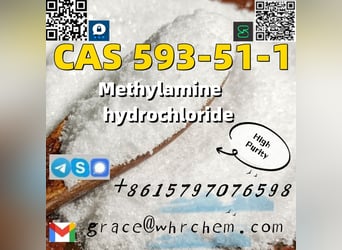 CAS 593-51-1 Methylamine hydrochloride Factory Supply High Purity 100% Safe Delivery
