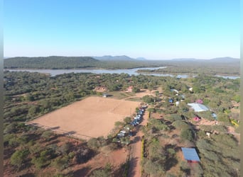 Reitlehrer*in / Pferdewirt*infür Reiterhof in Botswana in Dauerstellung