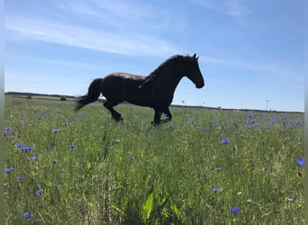 Ferien mit eigenem Pferd ,Hund und Familie