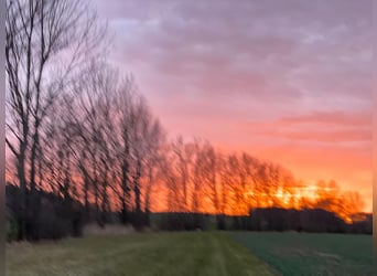Ferien mit eigenem Pferd ,Hund und Familie