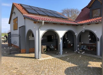 Ferien mit eigenem Pferd ,Hund und Familie