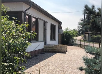 Ferien mit eigenem Pferd ,Hund und Familie