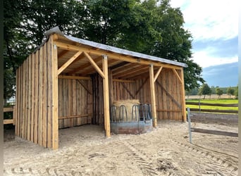 Ferien mit eigenem Pferd ,Hund und Familie