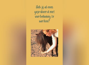 Gratis minigids voerbeloning