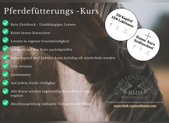 Online Kurs, Pferdefütterung - TOP-