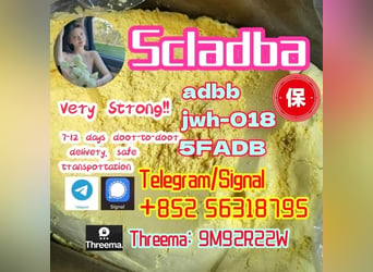 5cladba 5cl yellow powder 5cladba from best supplier