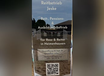 Reitunterricht/Beritt