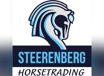 Training voor springpaarden 