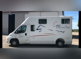 Peugeot Boxer Barbot 5-zit 2paards