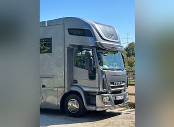 IVECO Equix 4 Pferdetransporter