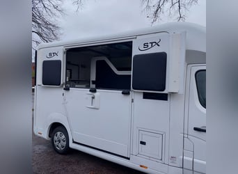 Pferdetransporter STX Horsebox Opel 3,5 t gebraucht, 5-Sitzer