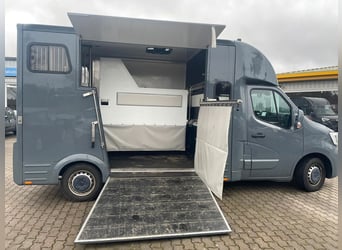 Renault Master Pferdetransporter STX Hengstversion FK