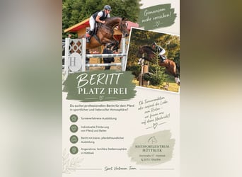 Beritt Dressur,Springen,Vielseitigkeit