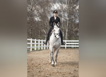 Berittplätze frei - Vollberitt auf moderner Reitsportanlage