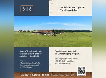 Berittplätze, Unterricht, Kurse