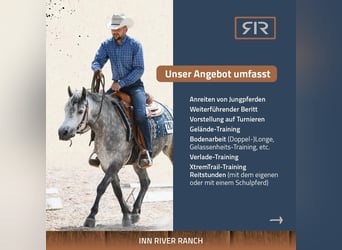 Berittplätze, Unterricht, Kurse