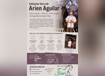 Arien Aguilar live erleben – Zuschauerplätze verfügbar