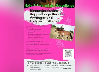 Doppellonge Kurs 25.01. 26.01.2025 in Kerpen 