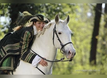 Individueller Theorie und Reitkurs mit Dr. Diana Krischke am 13.06-14.06.2026