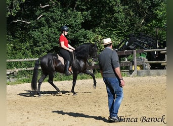 Lehrgang mit Desmond o Brien 10-11.02.2026