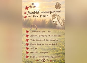 Mindful nervoussystem reset and Horse Retreat, 7.11.2026
