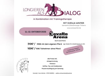 OsteoDressage "Longieren als Dialog" mit Svenja Winter