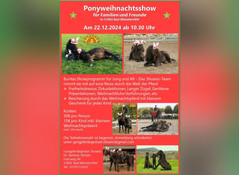 Ponyweihnachtsshow für Jung und Alt