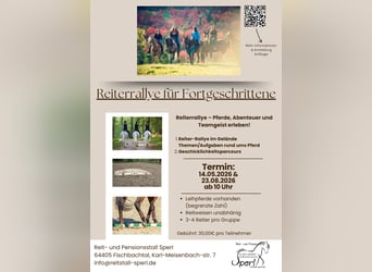Reiterrallye für Jugendliche & Erwachsene