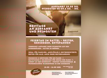 Reittage an Auffahrt und Pfingsten