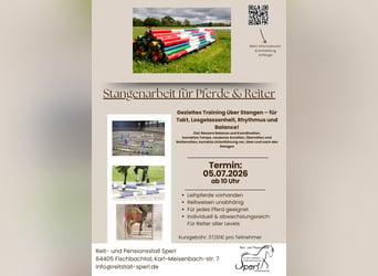 Stangenarbeit für Pferde & Reiter