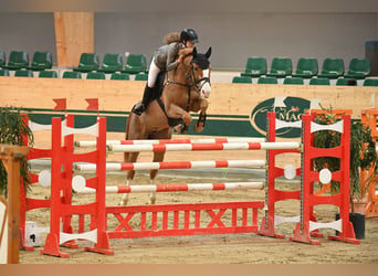 Boxes for students or young horse training.