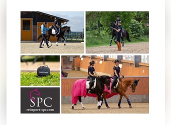 * Dressurunterricht Kl. E-S * Trainingstage * Sitzschulung * EM Bewegungstraining * Neuroathletik *