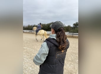 Dressurunterricht mit Grand-Prix-Reiterin Patricia Sanchez