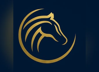 Horse Thinking – Fachkompetenz im Pferdetraining und Coaching